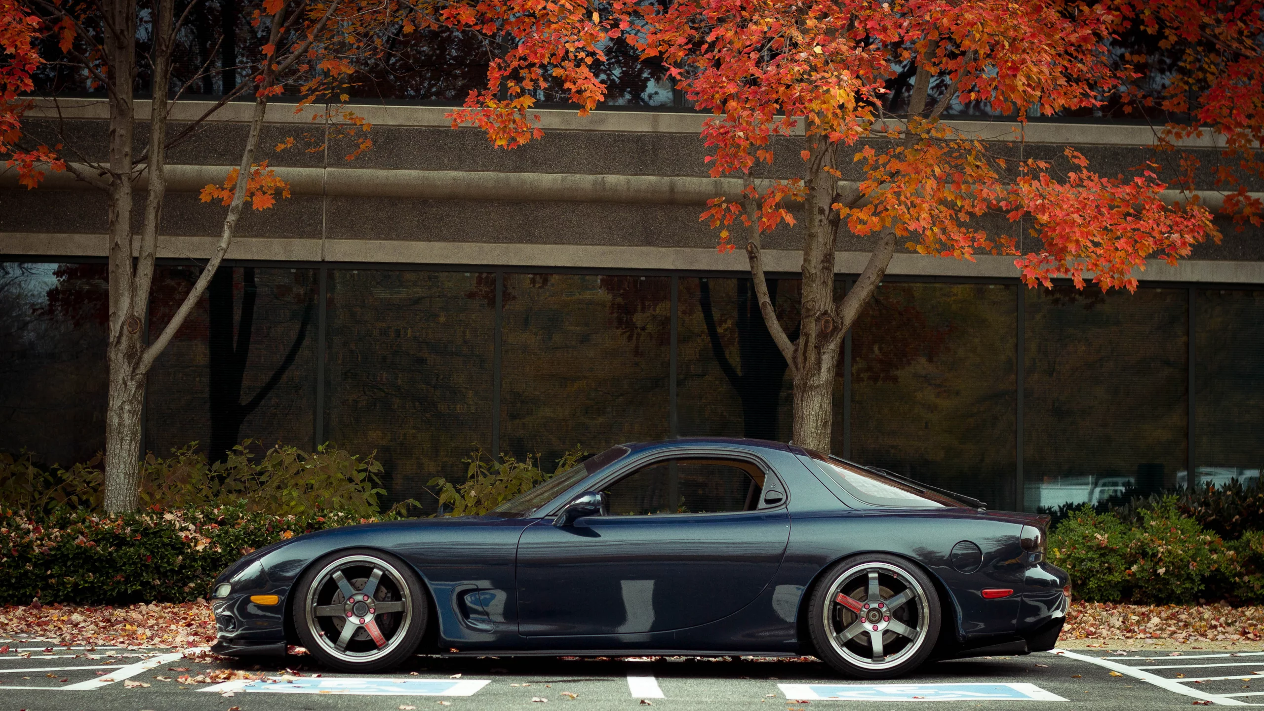 rx7, autumn, Mazda, мазда, осень, te37