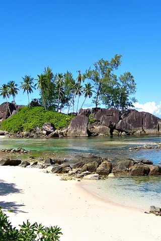 seychelles, relax, Океан, экзотика, отдых, природа, сейшелы