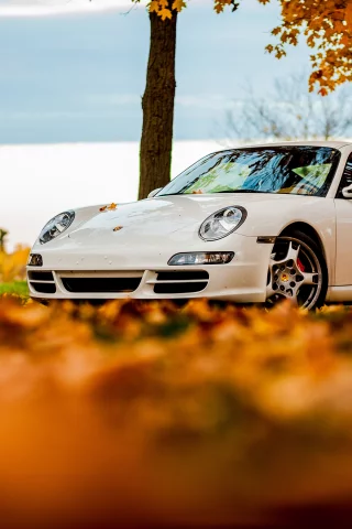 белый, foliage, порше, white, осень, 911, tree, sky, Porsche, 911, autumn