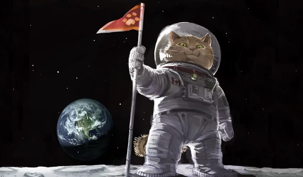 кот, луна, земля, космос, первый, канада, скафандр, звезды