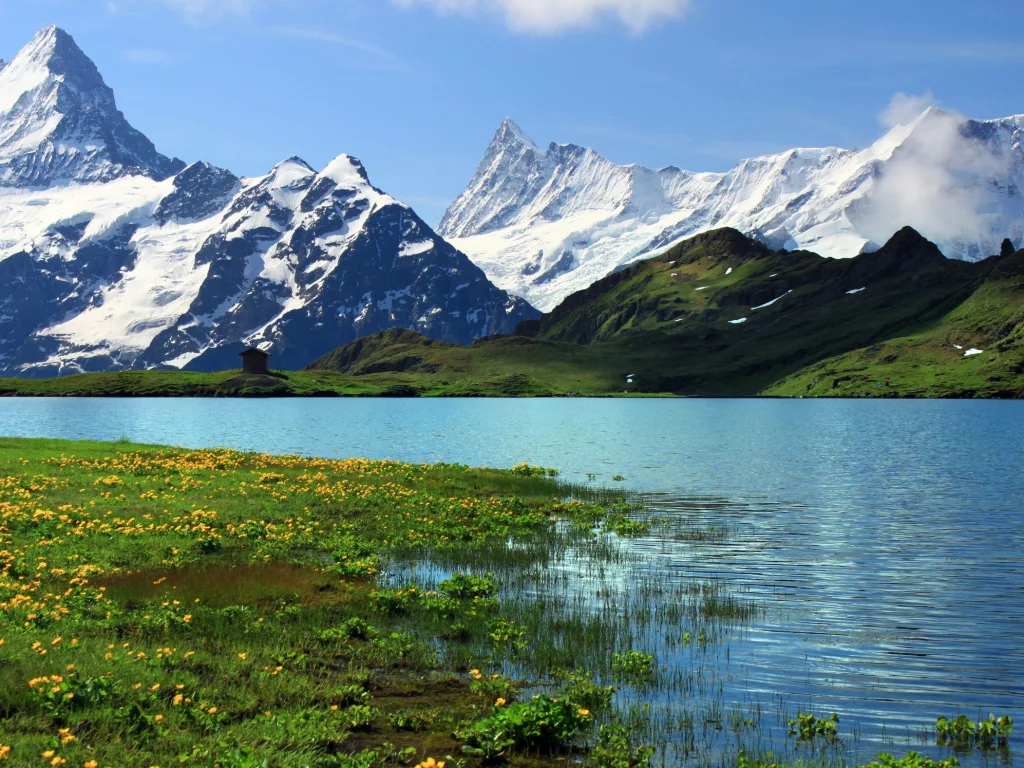 горы, Switzerland, гринднльвальд, берн, bern, швейцария, grindelwalt