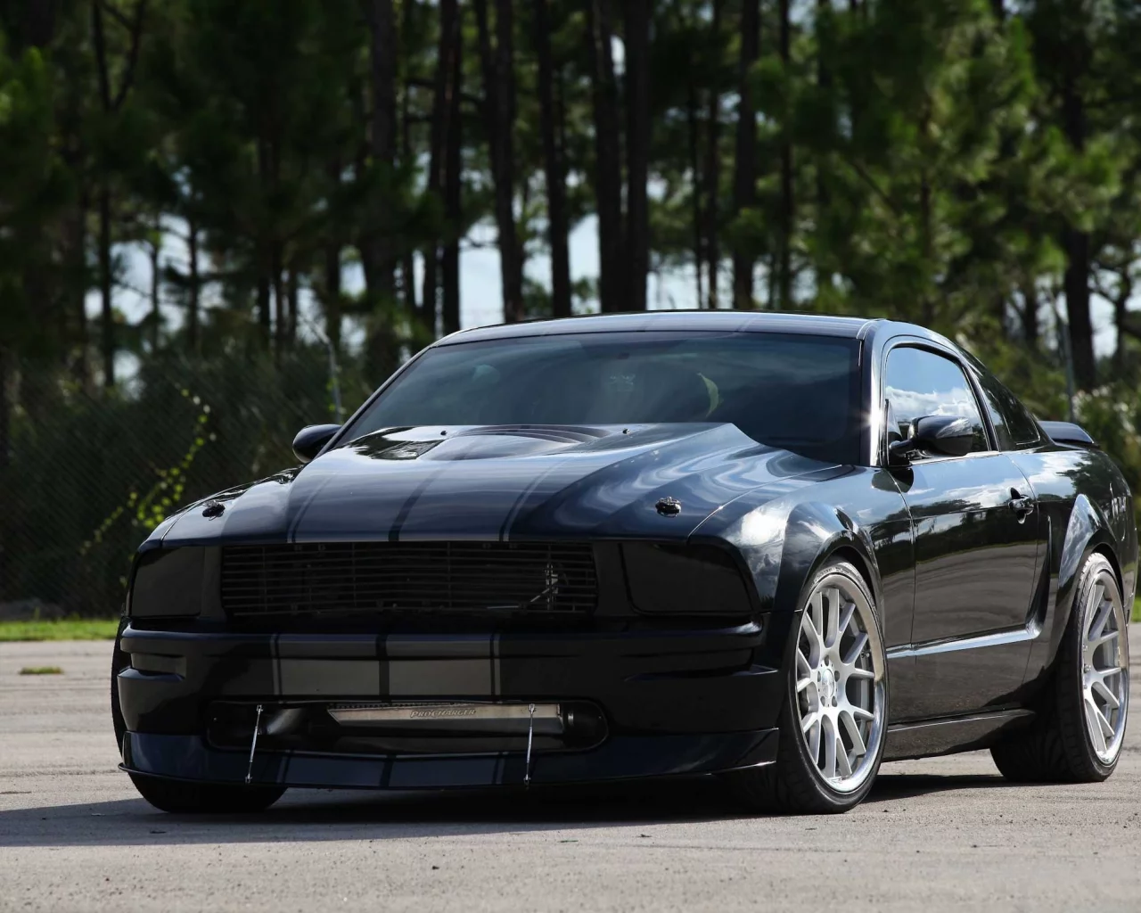 полосы, Ford, чёрный, mustang, форд, trees, мустанг, black