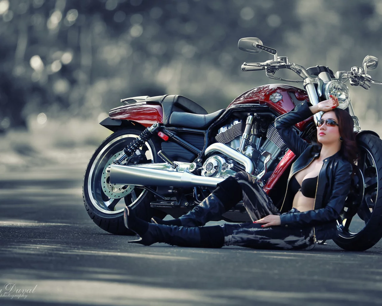азиатка, девушка, Harley-davidson