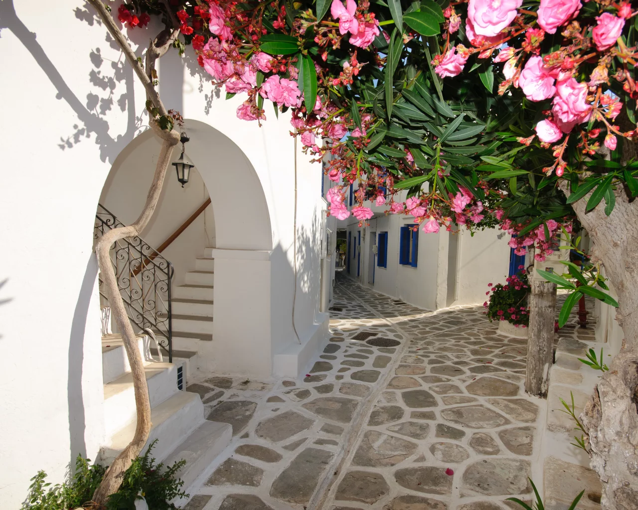 Дома, цветы, santorini, greece