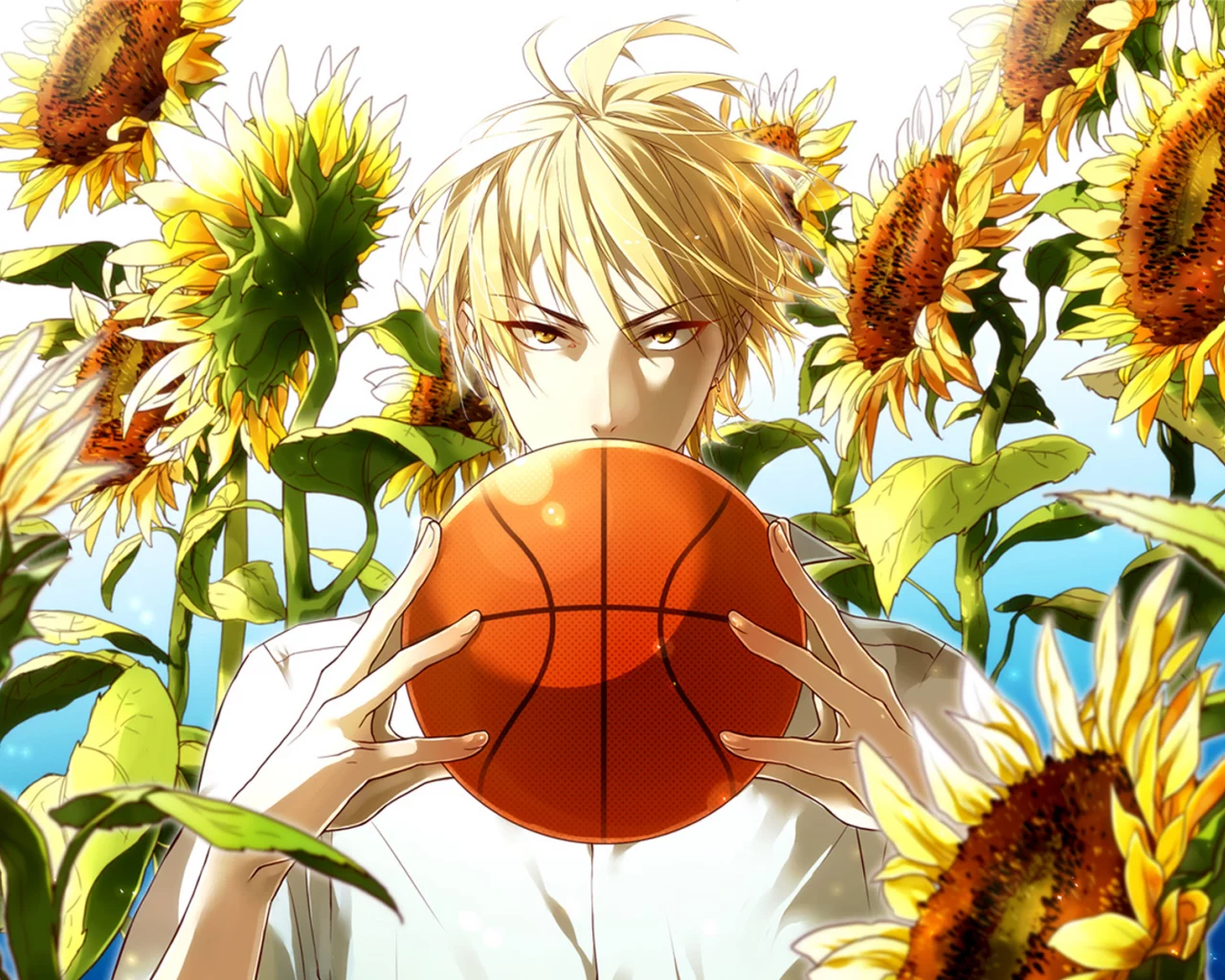 kaijou, парень, Kuroko no basket, баскетбол куроко, ryouta, мяч, kise