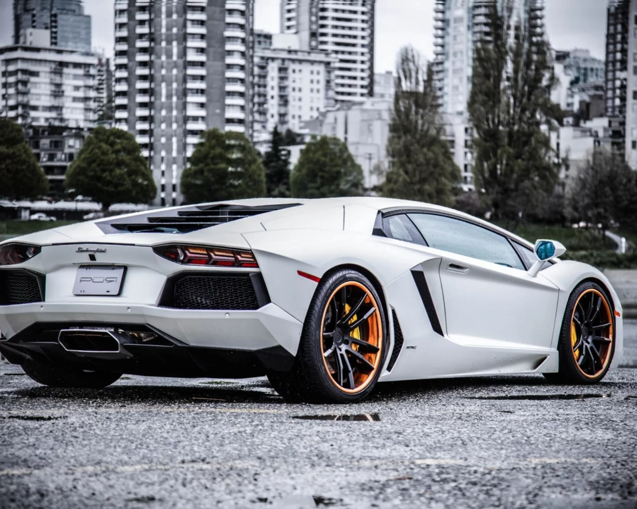 ламборгини, lp700-4, авентадор, aventador, white, Lamborghini, wheels