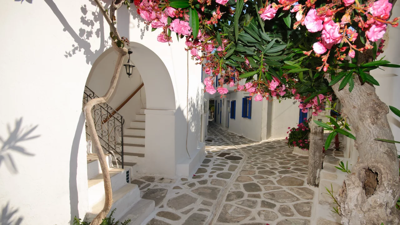 Дома, цветы, santorini, greece