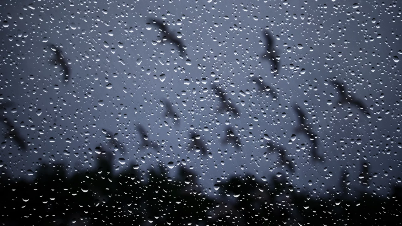 капли, ночь, стекло, rain drops on glass, окно, Дождь