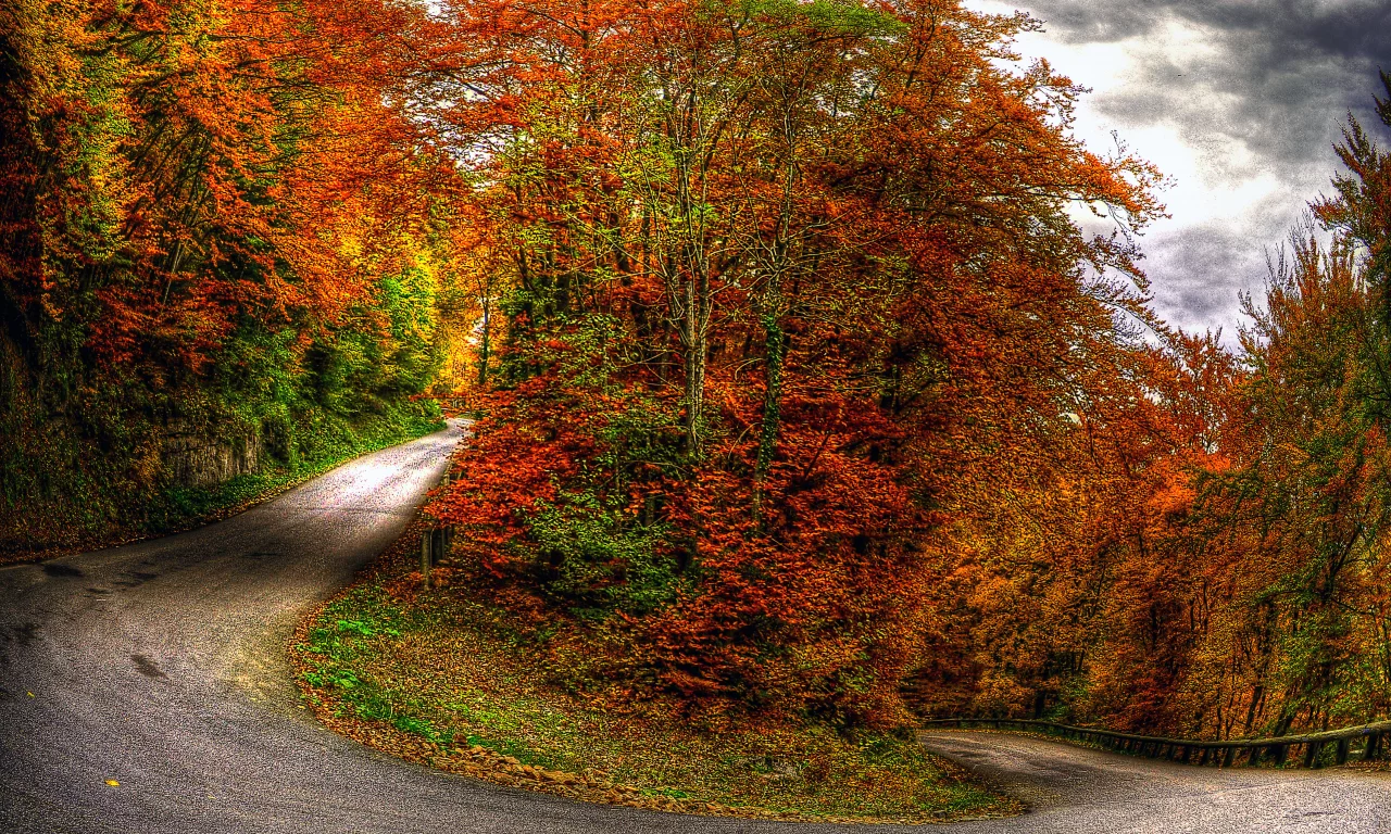 небо, Природа, облака, пейзаж, деревья, лес, осень