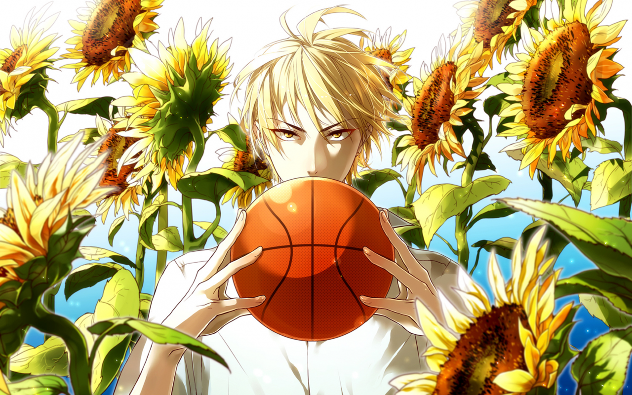 Картинка на рабочий стол kaijou, парень, Kuroko no basket, баскетбол куроко,  ryouta, мяч, kise 1280 x 800