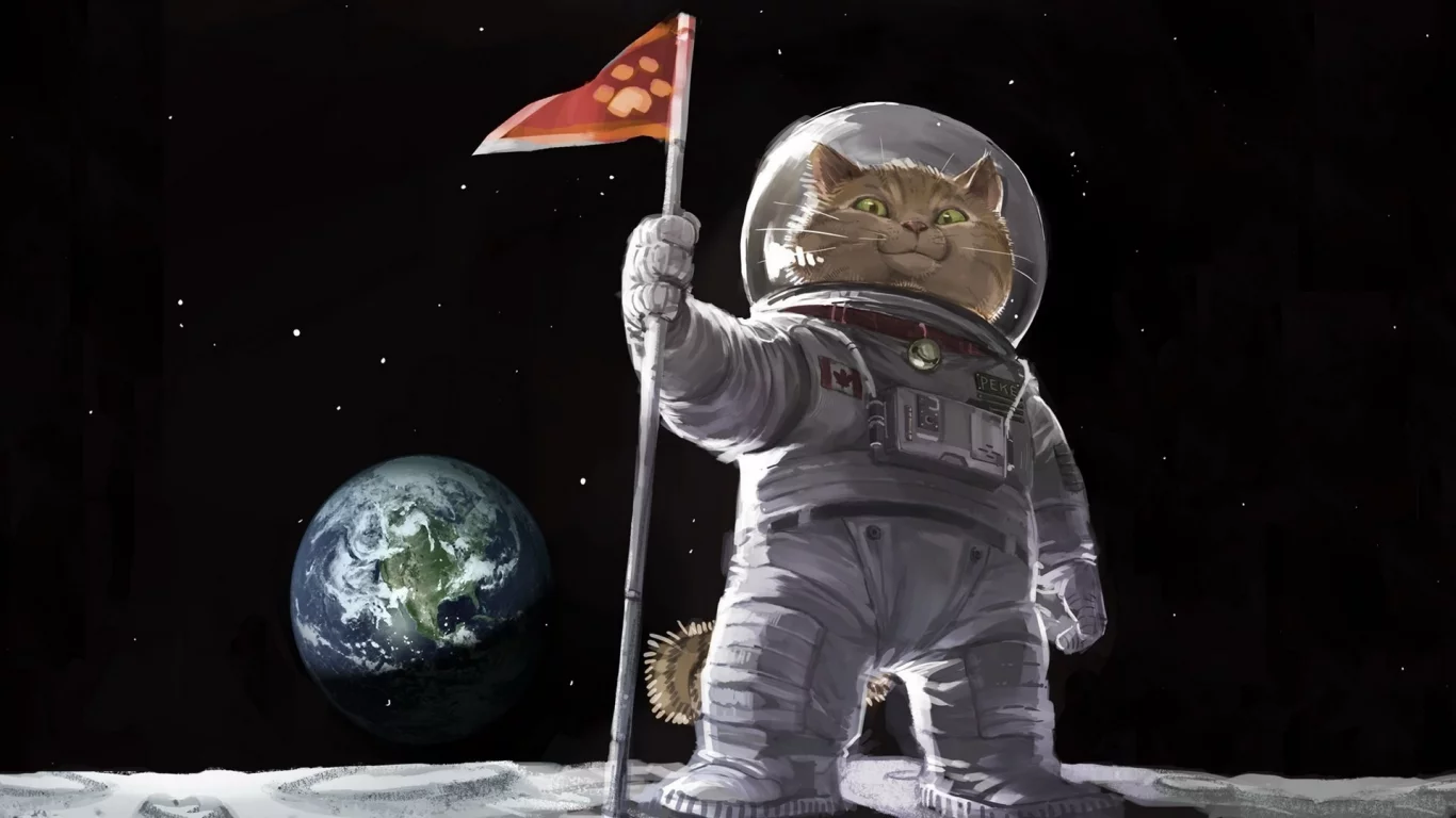 кот, луна, земля, космос, первый, канада, скафандр, звезды