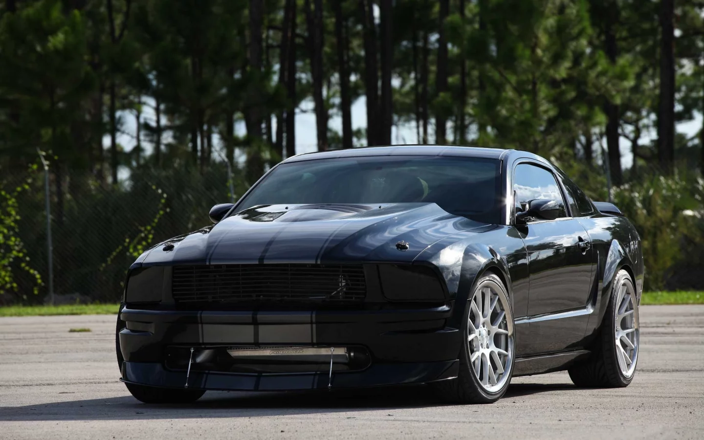 полосы, Ford, чёрный, mustang, форд, trees, мустанг, black