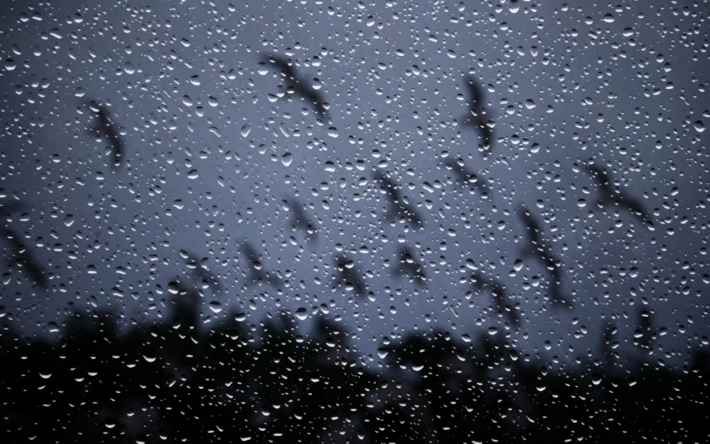 капли, ночь, стекло, rain drops on glass, окно, Дождь