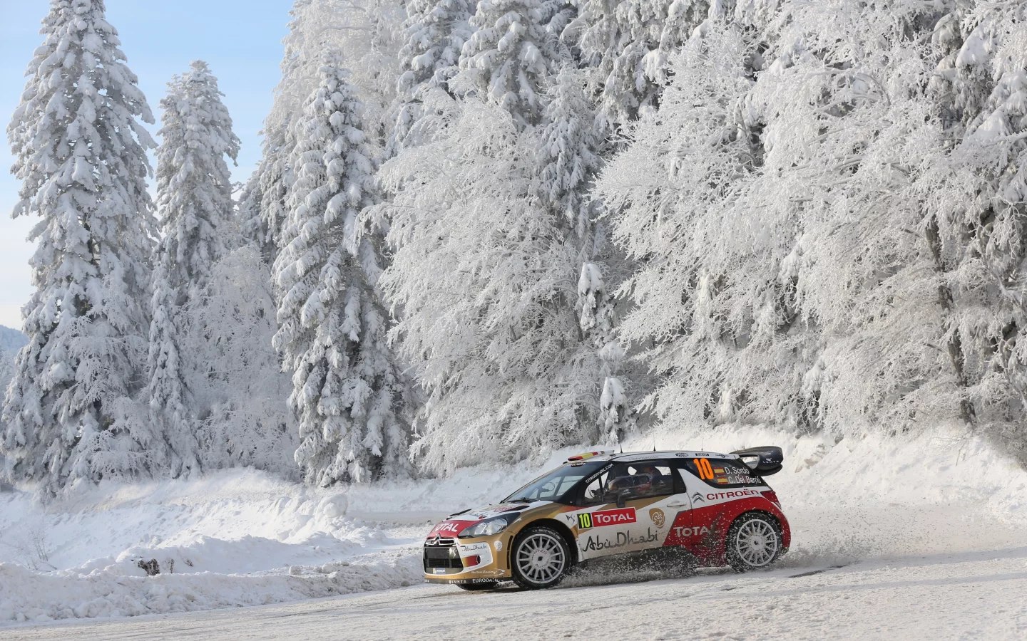зима, лес, вид сбоку, 10, Citroen, wrc, ралли, ds3, снег, rally