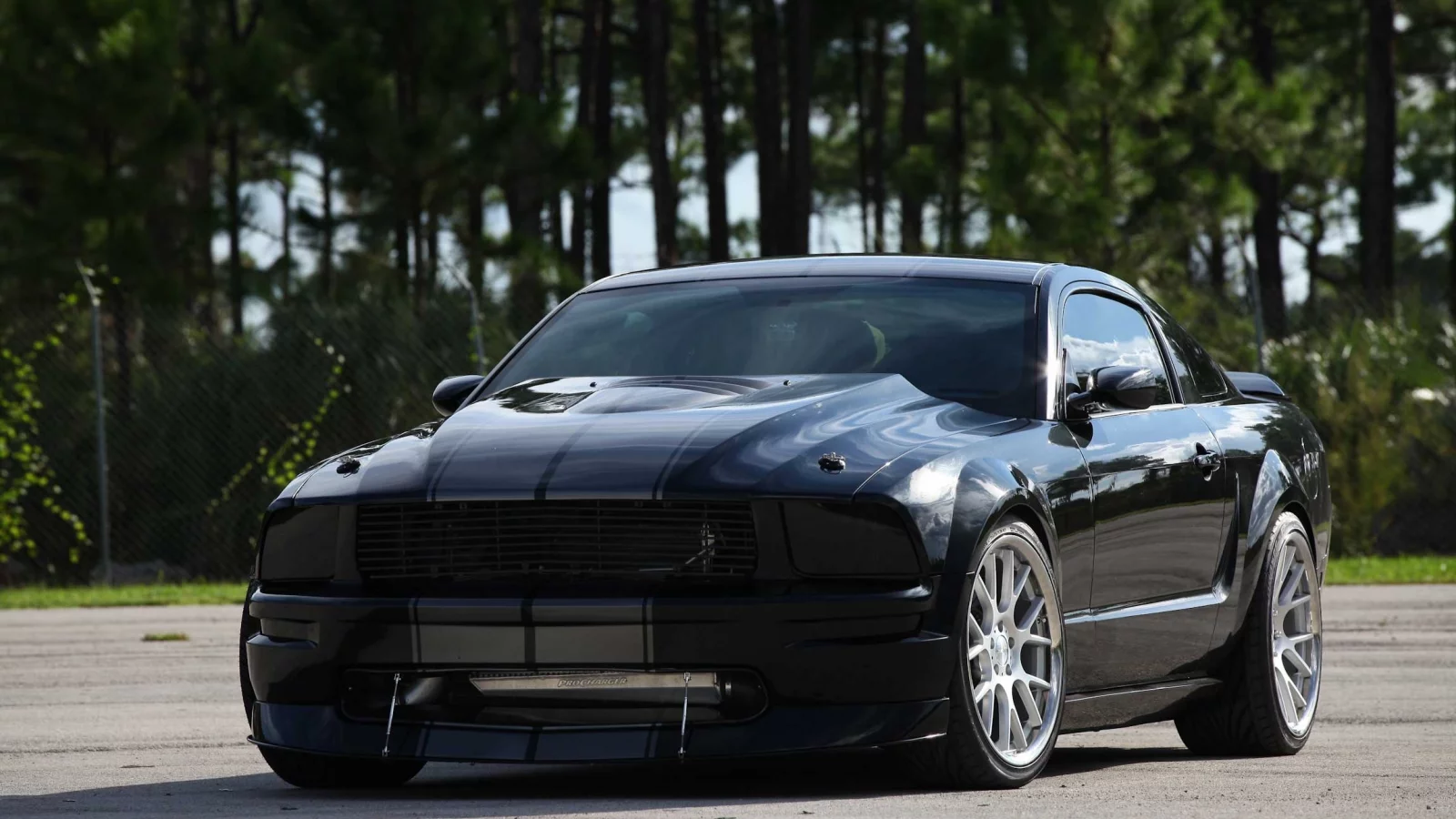 полосы, Ford, чёрный, mustang, форд, trees, мустанг, black