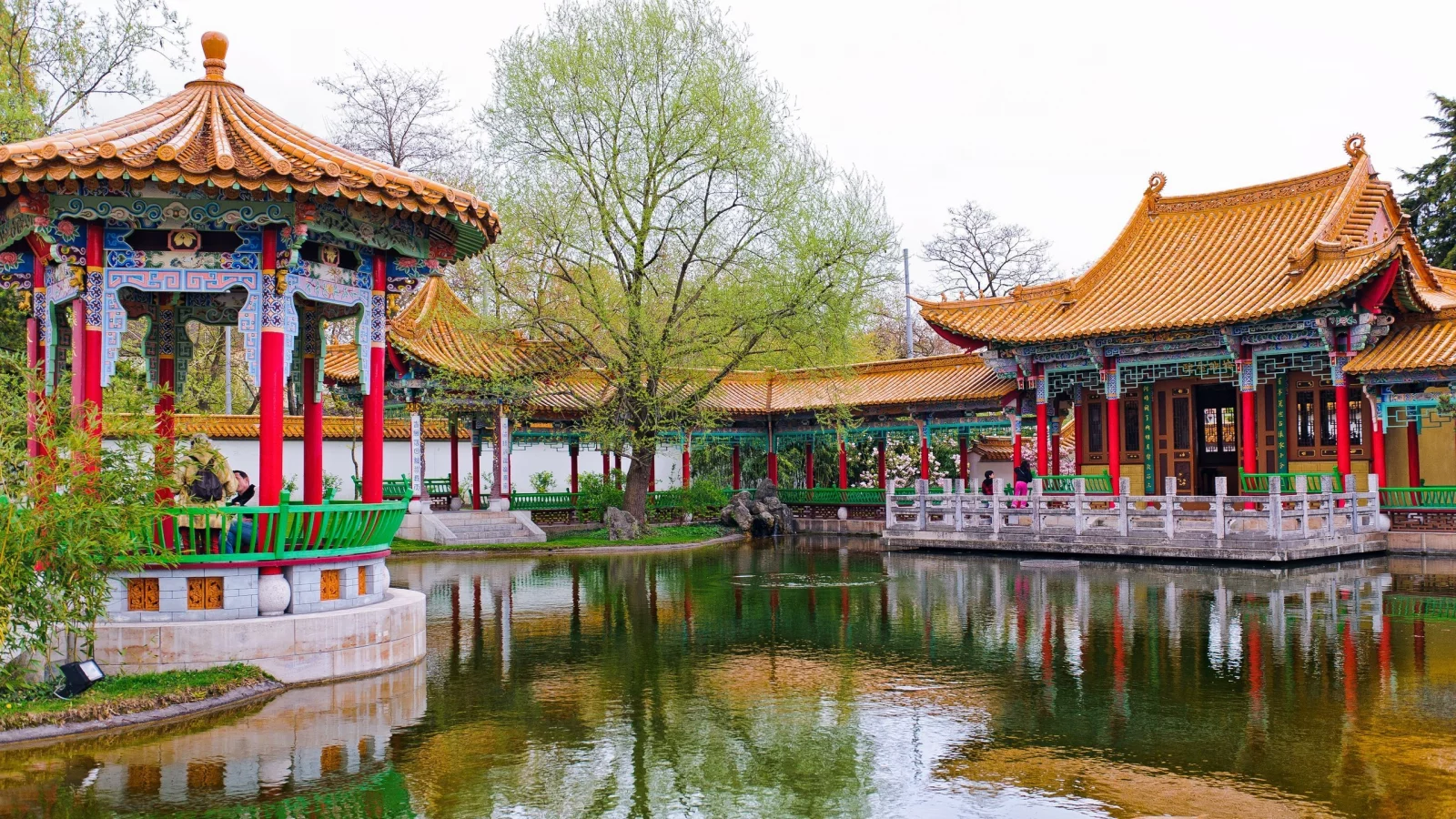 пруд, парк, цюрих, switzerland, Z__rich, chinese garden, швейцария