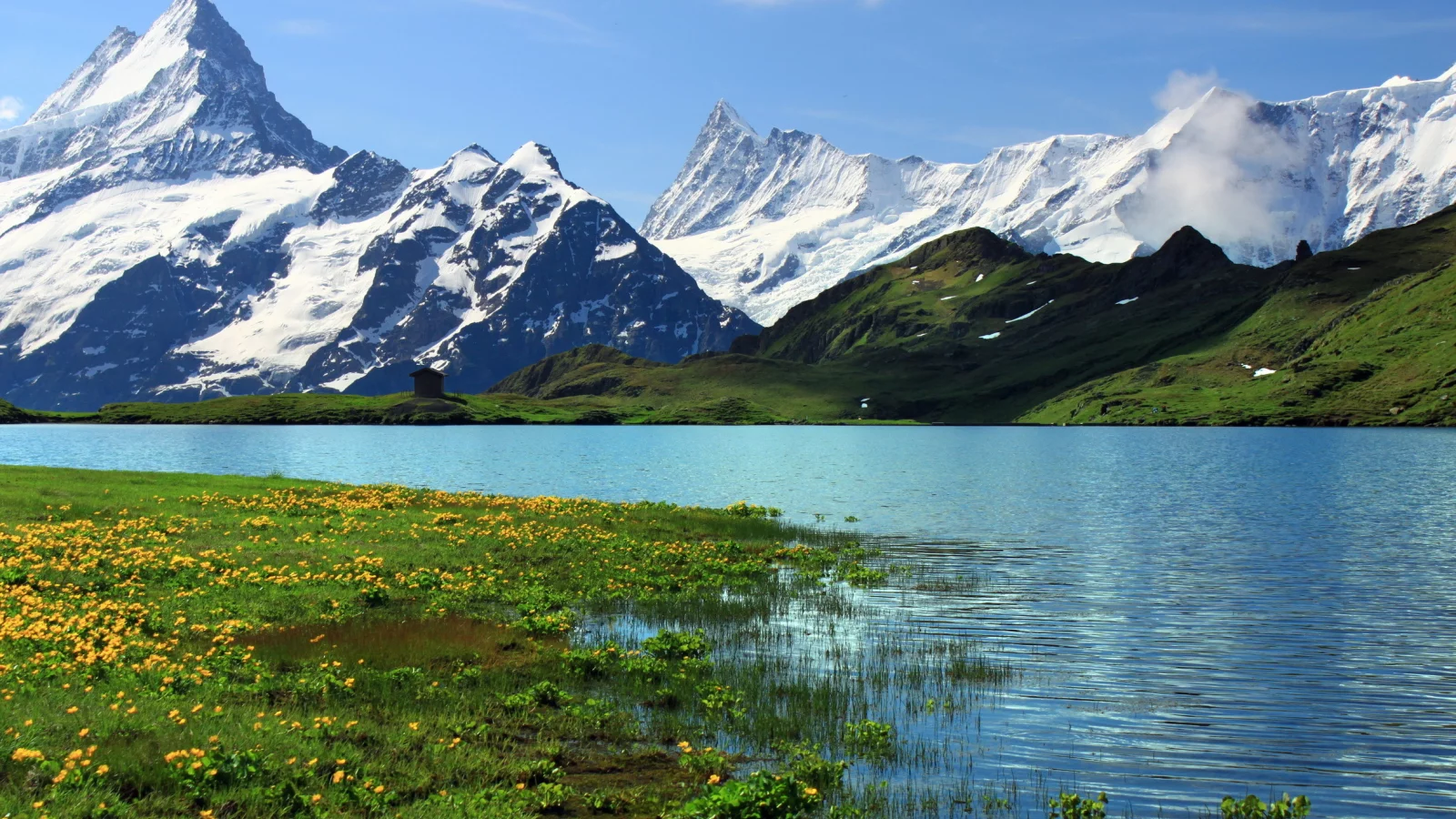 горы, Switzerland, гринднльвальд, берн, bern, швейцария, grindelwalt