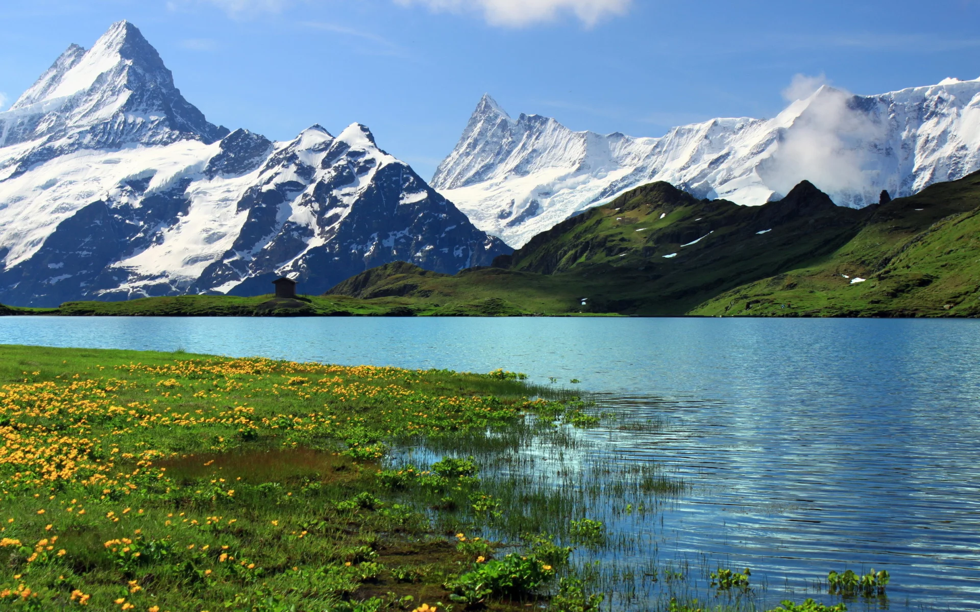 горы, Switzerland, гринднльвальд, берн, bern, швейцария, grindelwalt
