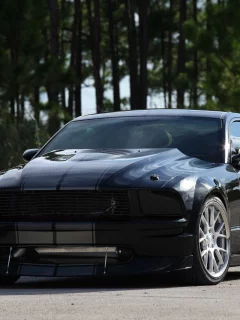 полосы, Ford, чёрный, mustang, форд, trees, мустанг, black