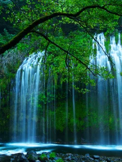 Сша, shasta retreat, северная калифорния, dunsmuir, mossbrae falls