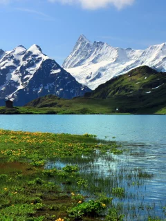 горы, Switzerland, гринднльвальд, берн, bern, швейцария, grindelwalt