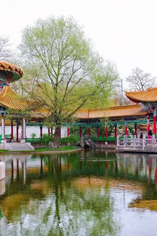 пруд, парк, цюрих, switzerland, Z__rich, chinese garden, швейцария