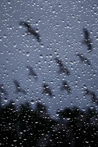 капли, ночь, стекло, rain drops on glass, окно, Дождь