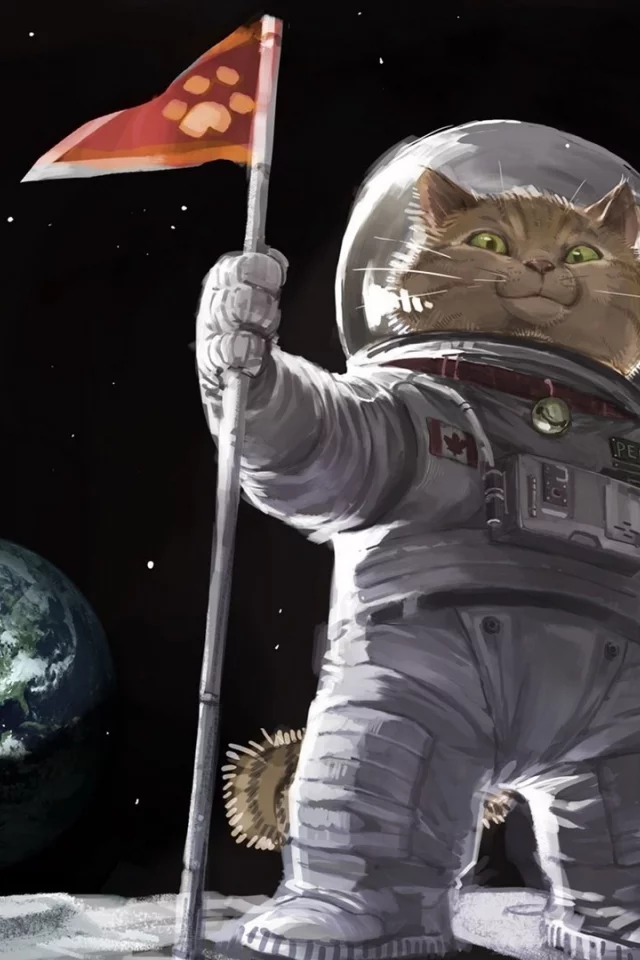 кот, луна, земля, космос, первый, канада, скафандр, звезды