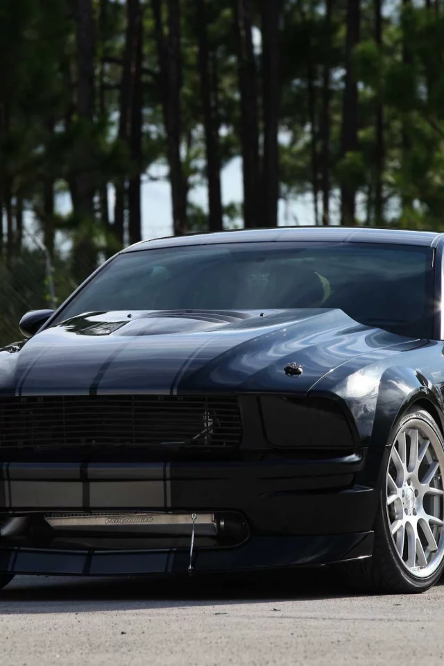 полосы, Ford, чёрный, mustang, форд, trees, мустанг, black