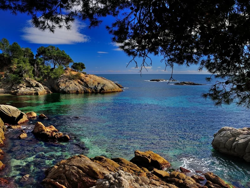 МОРЕ, , БЕРЕГ