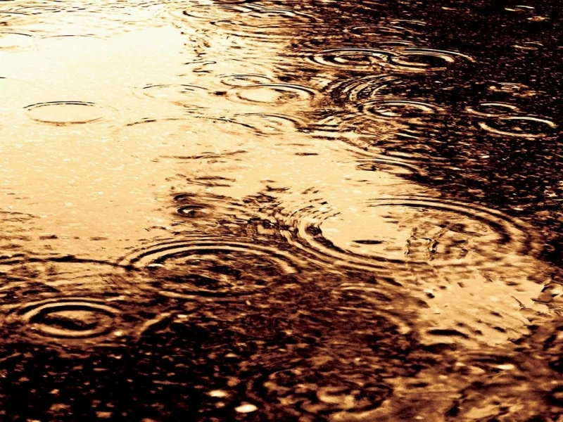 круги, капли, вода, разводы, Дождь