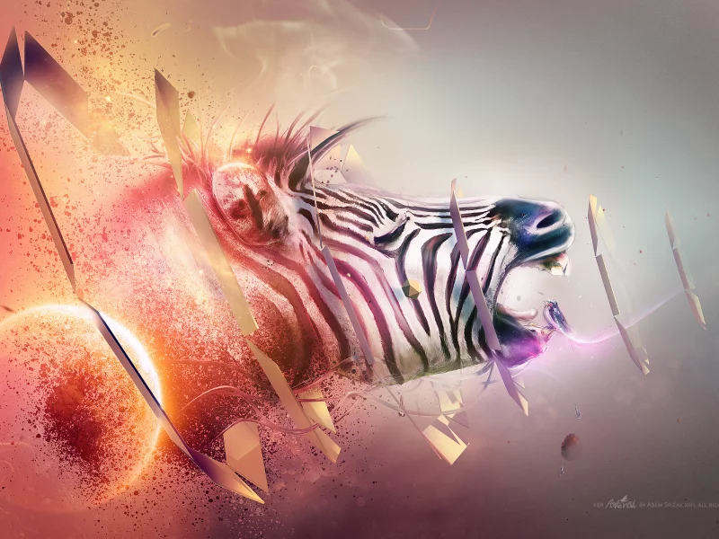 red, white, black, blue, abstraction, orange, purple, Zebra, gray