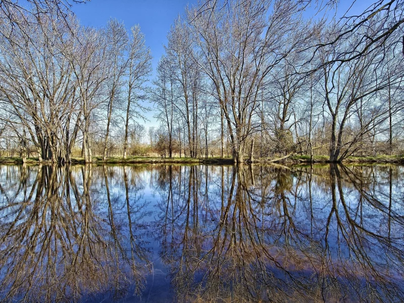 ОТРАЖЕНИЕ, В ВОДЕ