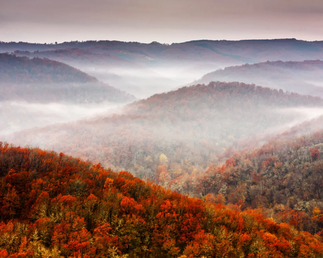 sky, tree, fall, foliage, осень, лес, mountains, природа, nature, небо, горы