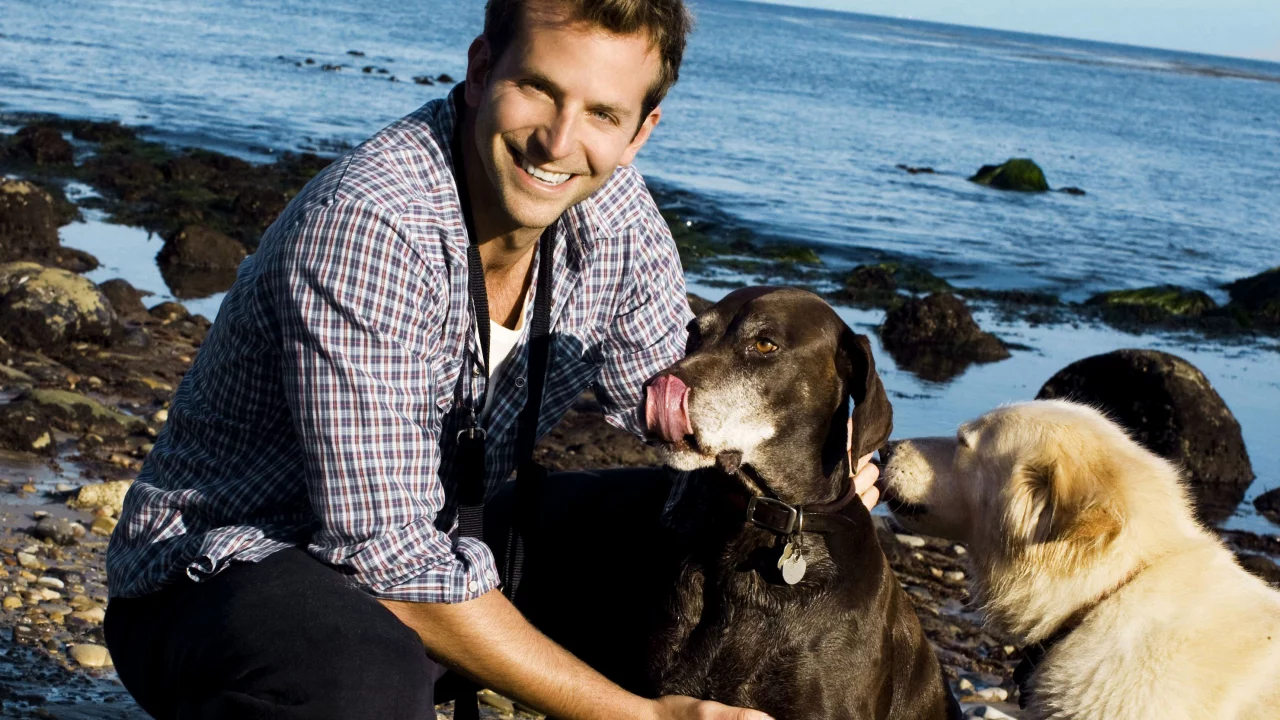 брэдли купер, bradley cooper , улыбка, берег, мужчина, актер