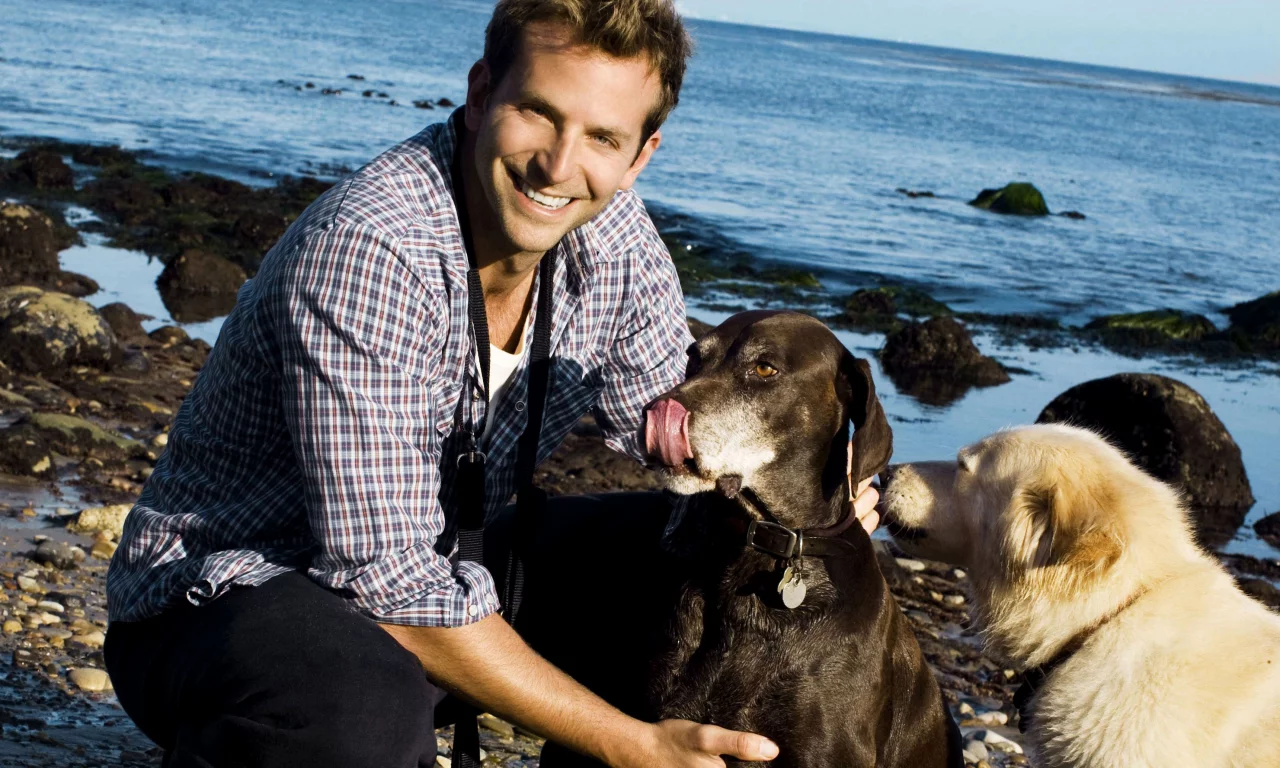 брэдли купер, bradley cooper , улыбка, берег, мужчина, актер