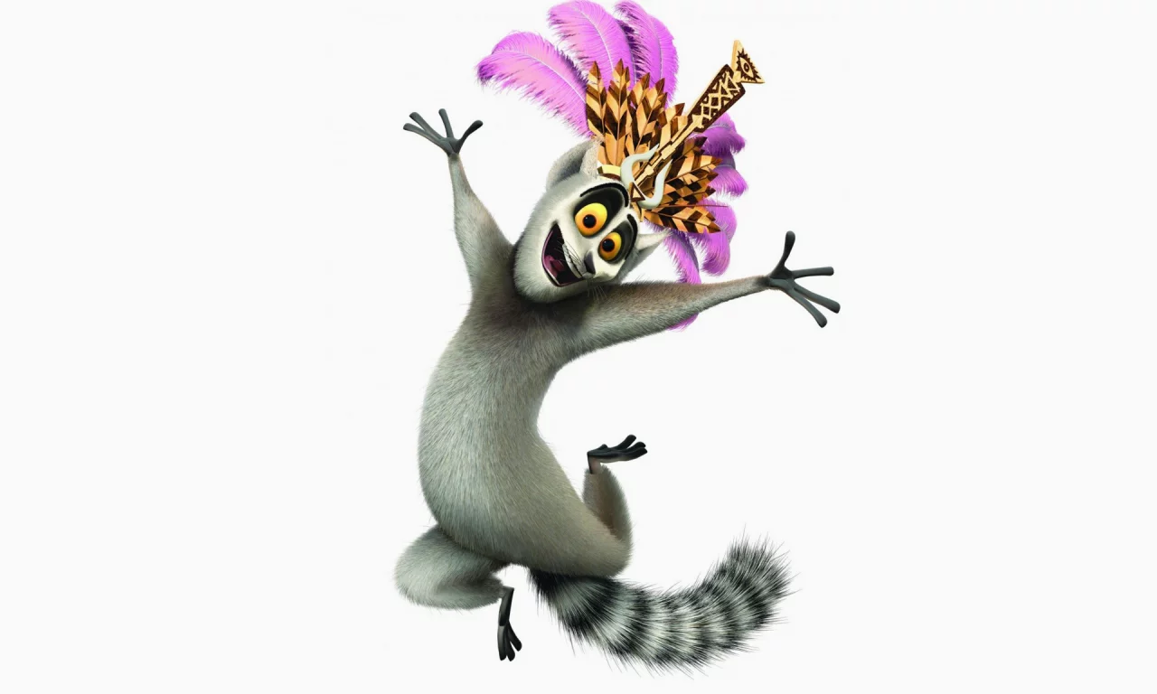 madagascar, джулиан, мадагаскар, белый фон, кошачий лемур