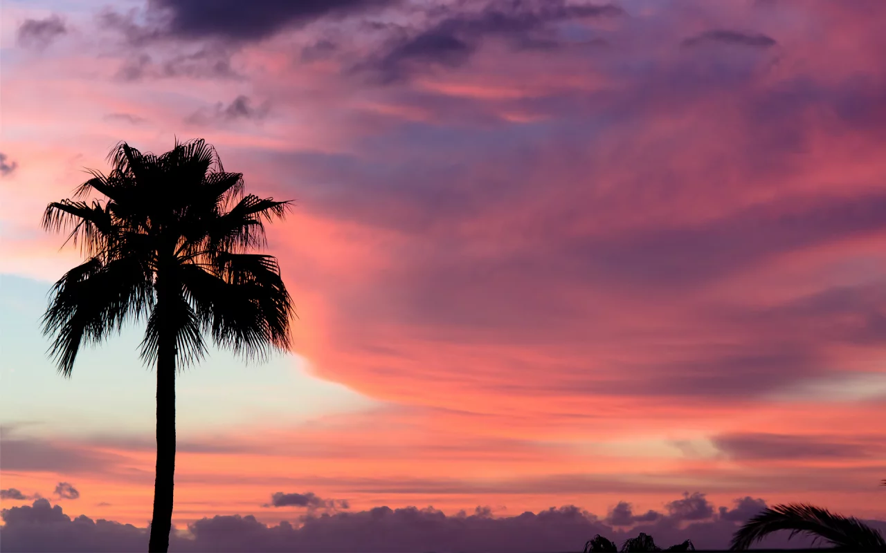 облака, tenerife, sunset, краски, закат, тенерифе, небо, пальма
