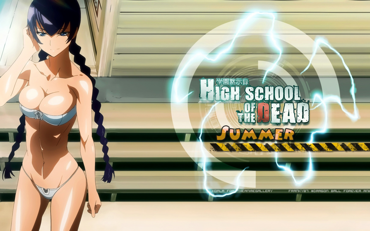 Картинка на рабочий стол школа мертвецов, high school of the dead,  bushijima saeko 1280 x 800