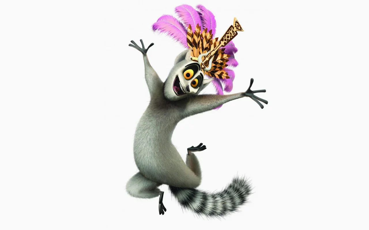 madagascar, джулиан, мадагаскар, белый фон, кошачий лемур