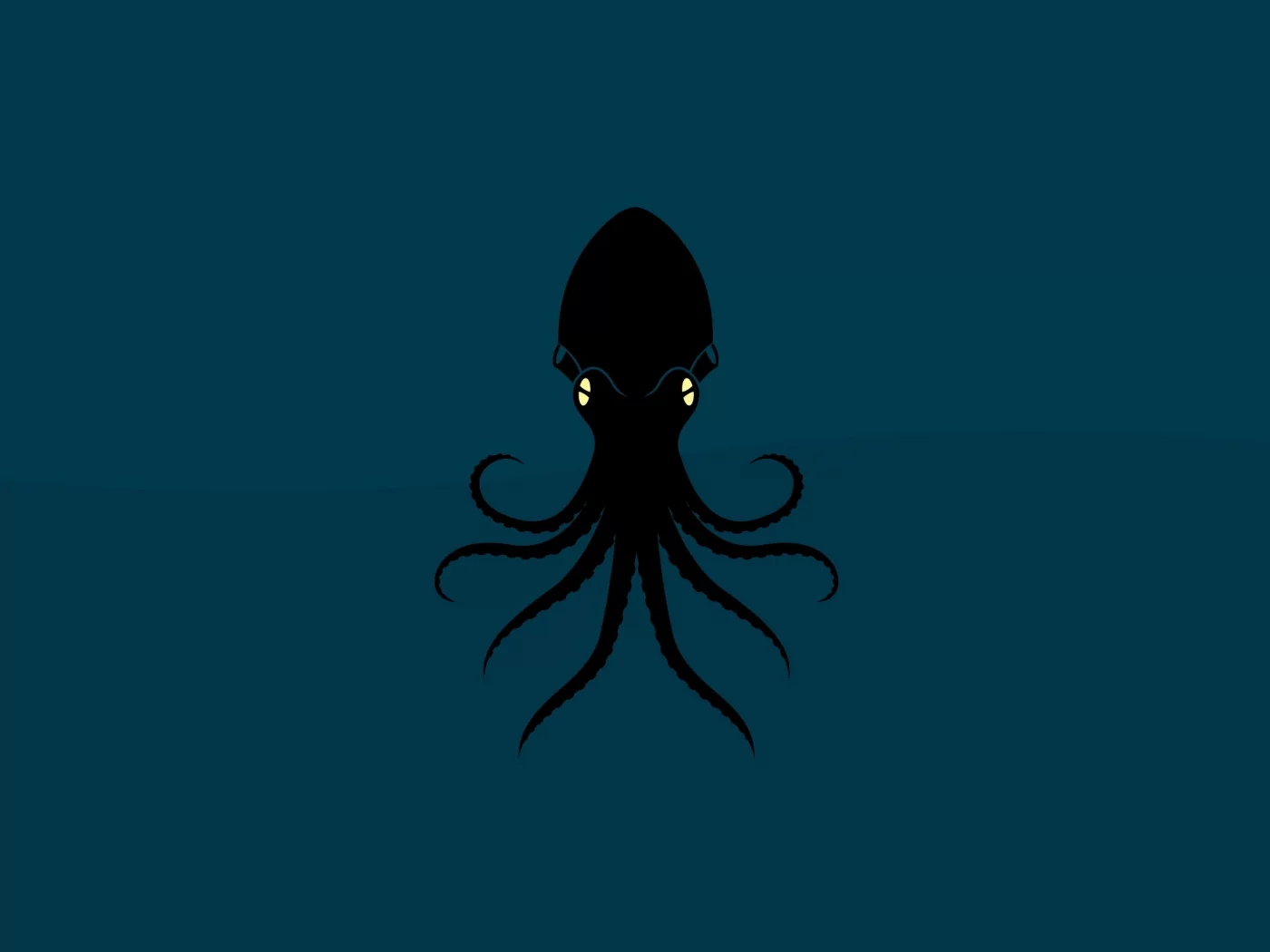 осьминог, животное, octopus