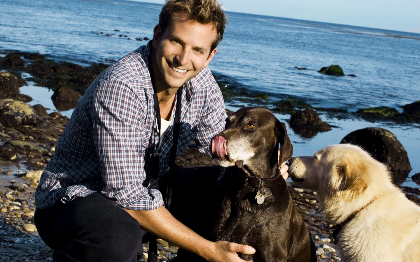 брэдли купер, bradley cooper , улыбка, берег, мужчина, актер