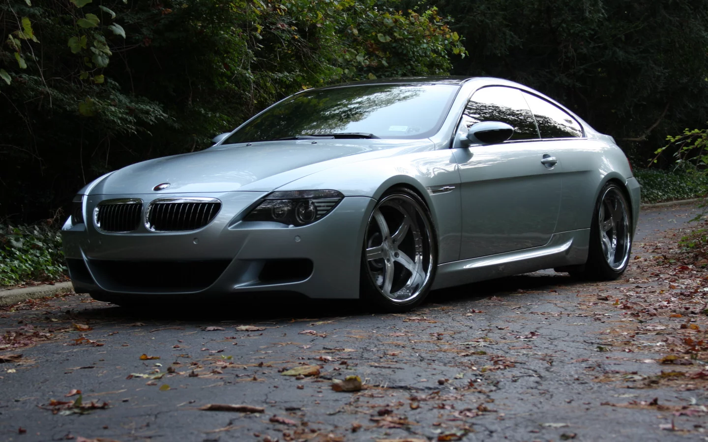 silvery, road, bmw, серебристый, бмв, wheels, e63, отражение, m6, диски