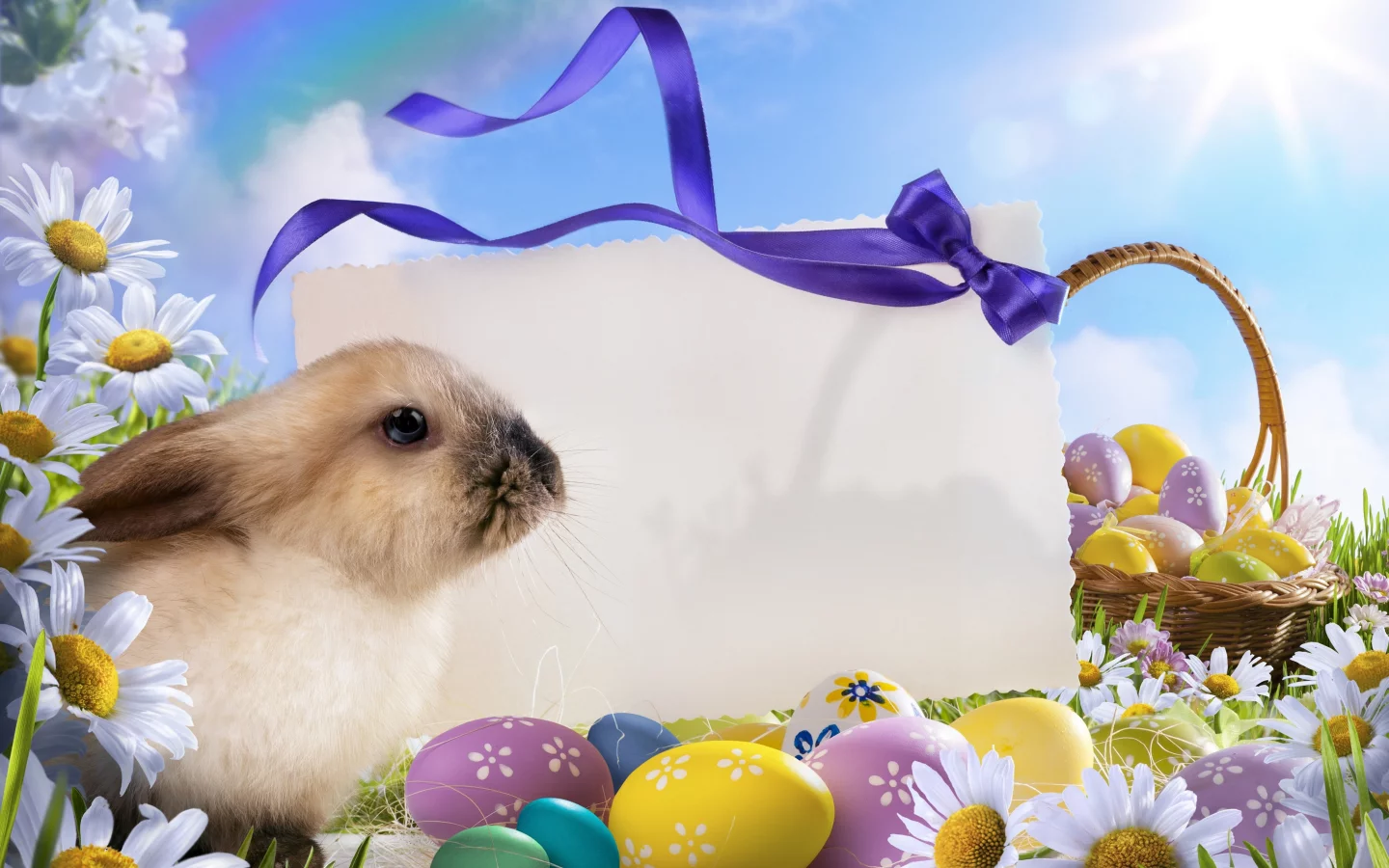 яйца, easter, пасха, небо, праздники