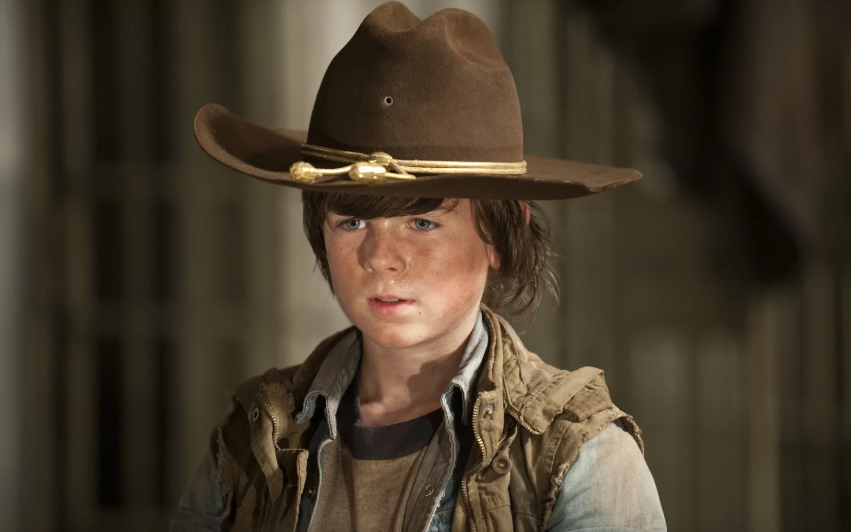 the walking dead, ходячие мертвецы, carl grimes