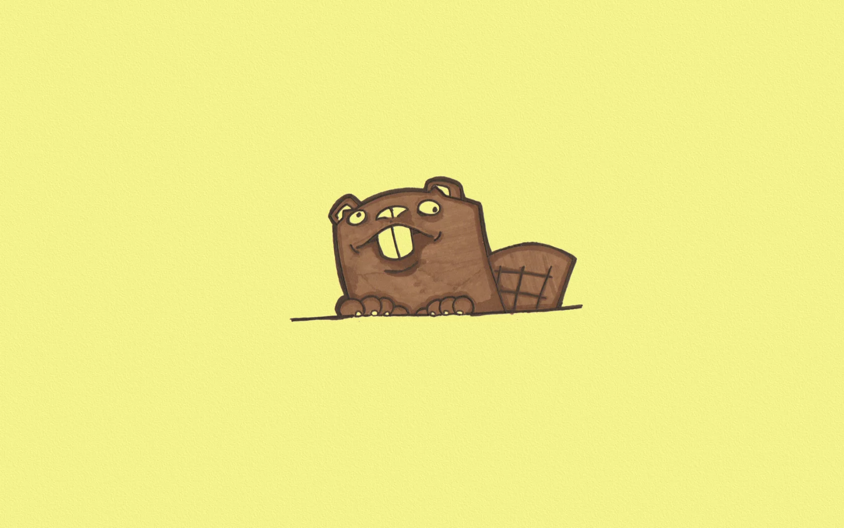 желтый фон, beaver, выглядывает, хвост, животное, бобер