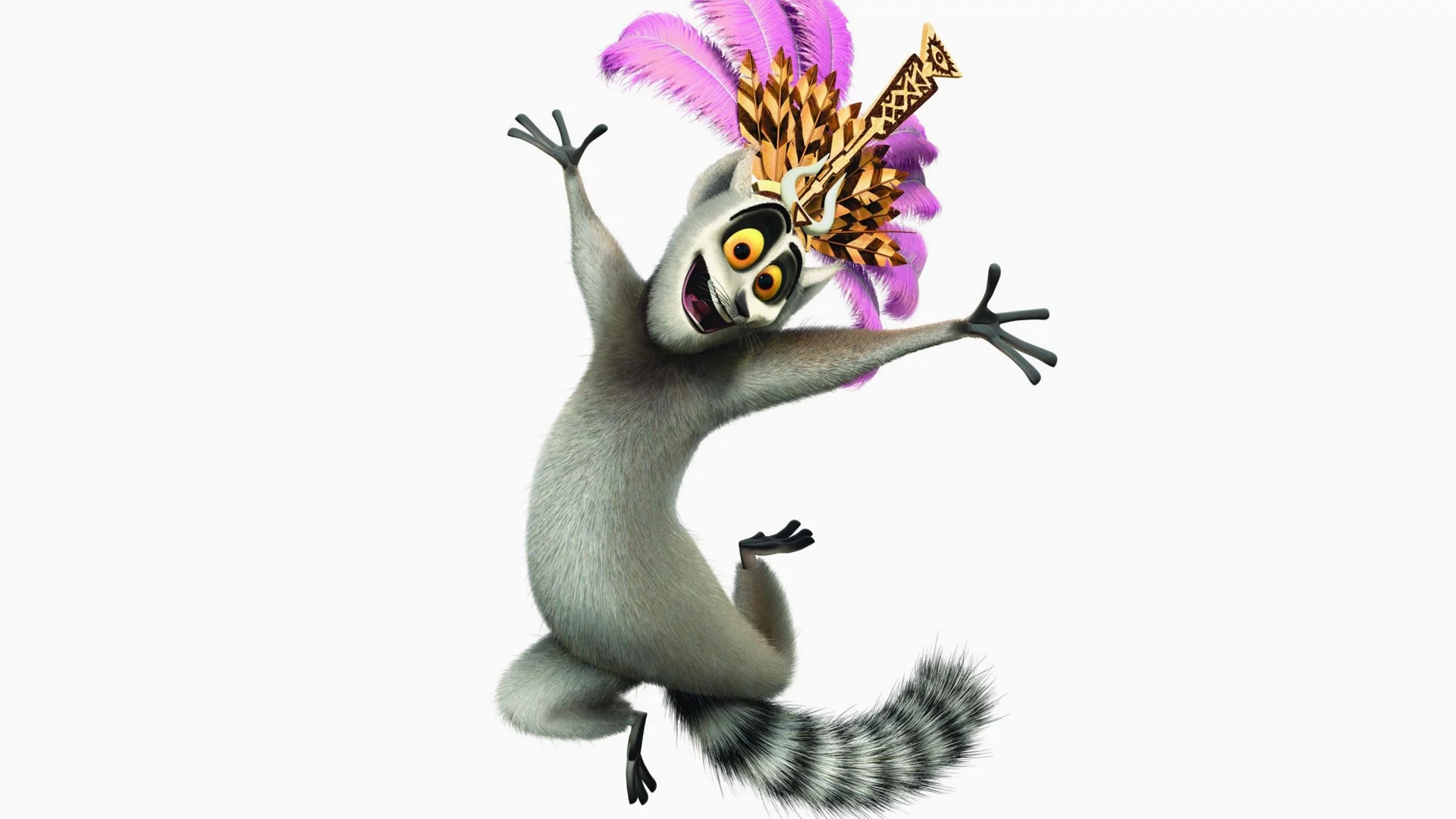 madagascar, джулиан, мадагаскар, белый фон, кошачий лемур