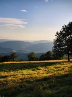 небо, облака, солнечные лучи, холмы, трава, деревья