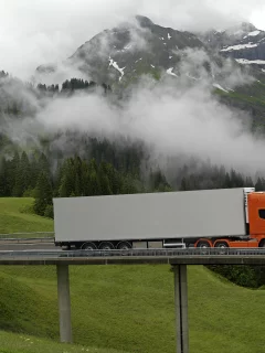scania, мост, горы, тучи, дома, лес, деревя, дорога, фура
