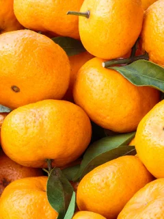 фрукты, мандарины, листья